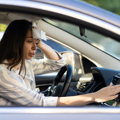 King Shop Zonnescherm - Zorgt voor een veel koelere sfeer en comfortabeler rijden